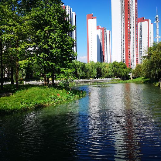 新華日報頭條 深度解析維爾利水環(huán)境綜合提升工程